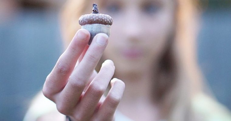 The Reason You Were Set Apart